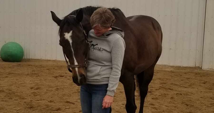 healing with horses
